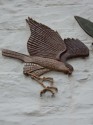 Albaston ;:Welcome Tree;: - Sparrowhawk (the clay image is approximately life-size) (click to enlarge)