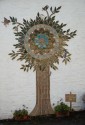 Albaston ;:Welcome Tree;: - 4.5 metres high (click to enlarge)